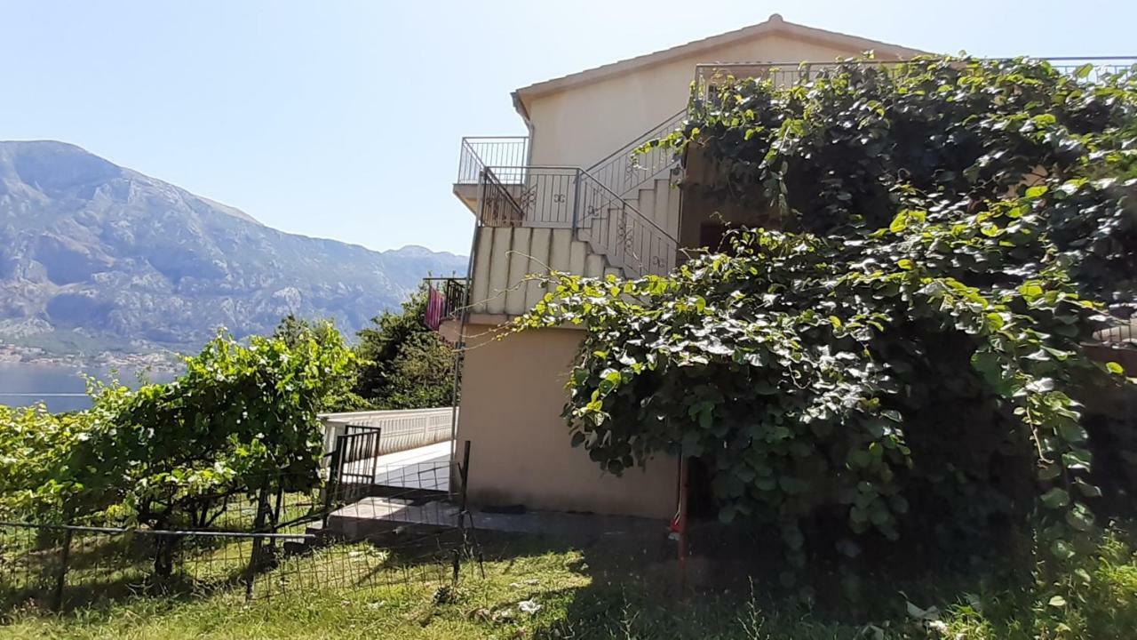 Apartman Tesovic Kotor Exterior foto