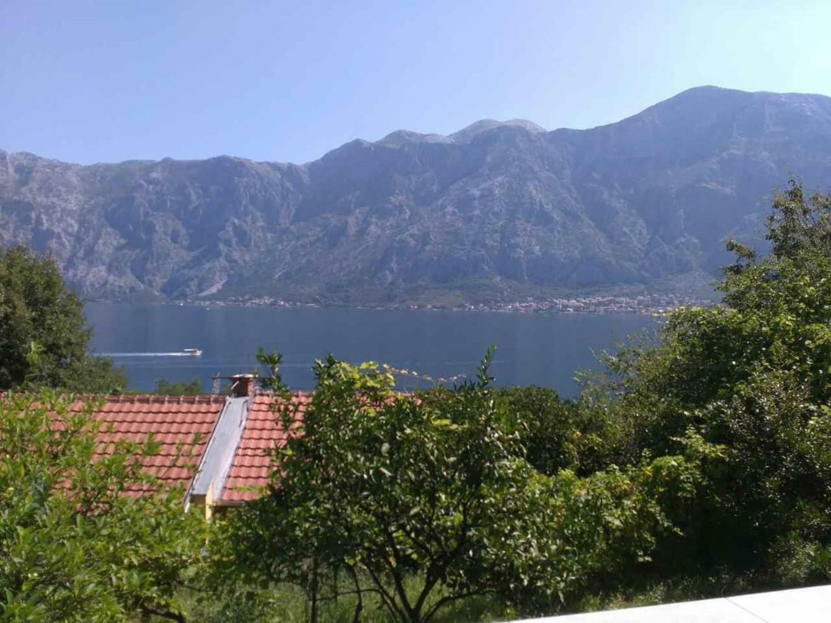 Apartman Tesovic Kotor Exterior foto